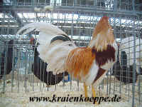 00DSCF0060.jpg (172591 Byte)