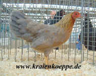 00DSCF0063.jpg (147083 Byte)