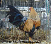 00DSCF0081.jpg (185546 Byte)