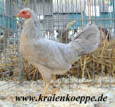 00DSCF0087.jpg (133069 Byte)