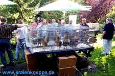 11 006.jpg (248463 Byte)