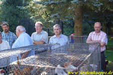 12355.jpg (238529 Byte)