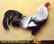 wpe25.jpg (46301 Byte)